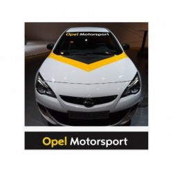 Vinilo Opel motorsport...